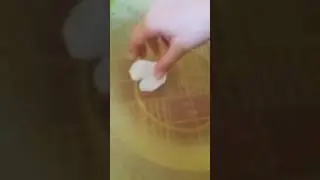 Magia dell' acqua