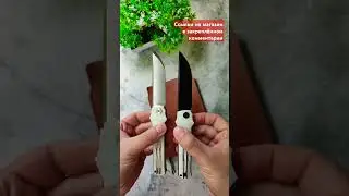 НОВИНКА ОТ PETRIFIED FISH 2024