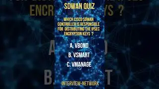 cisco sdwan vsmart controller 