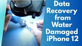iPhone 12 Water Damage Data Recovery Case Study