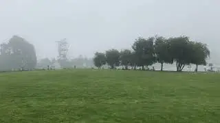 Nuwar eliya