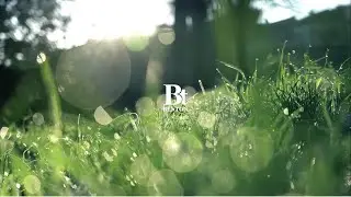 [2025] BENTON Brand Introduction Video #bentoncosmetic #benton