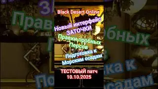 Black Desert TEST Patch 10.10.2025 