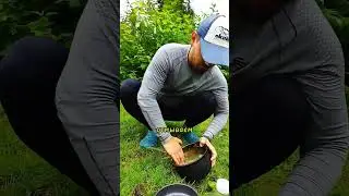 Как помыть посуду в походных условиях?