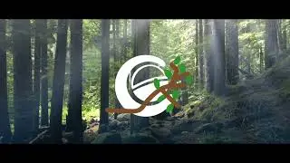 Фрагмент эфира и смена логотипа на летнию Gacha-tv 31.05.2023г 