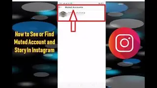 How to See or Find Muted Account and Story In Instagram