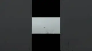 The Battle of Britain 2023