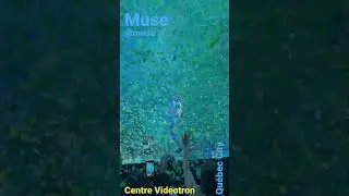 Muse live in Québec City #muse #centrevideotron