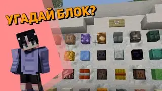 🧊Майнкрафт но мы угадываем блок!🧊