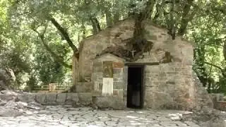 17 Trees on Roof ! - Agia Theodora Vasta Arkadia Greece