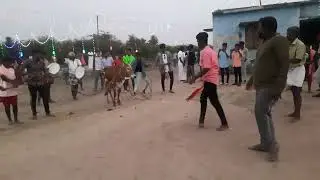 kandigai 2022 festival