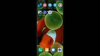 Skype Android / IOS - Screencasting “screen sharing”- to the interlocutor