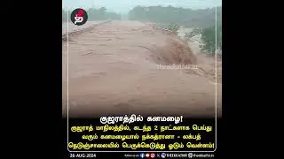 குஜராத்தில் கனமழை: சாலைகளில் பெருக்கெடுத்து ஓடும் வெள்ளம்! Gujarat