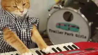 KEYBOARD CAT 96 TEARS