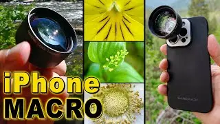 iPhone Macro Photography with the Sandmarc 100mm Macro Lens