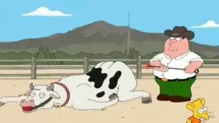 Padre De Familia - Vaca Masoquista