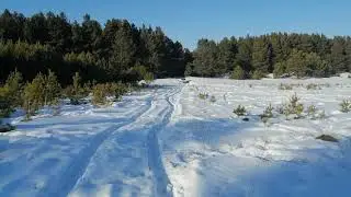 Жыпа на дороге