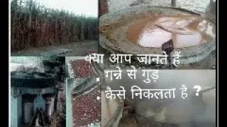 गन्ने से गुङ कैसे निकाला जाता है 