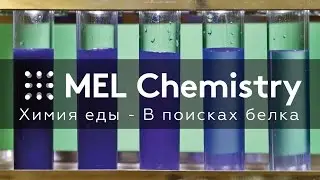 Химия еды - В поисках белка