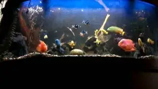 Крутая песня про курсантов😄.