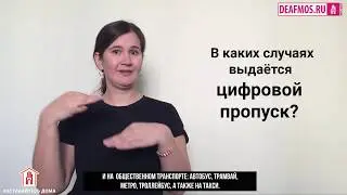 Самоизоляция. Пропускной режим. Как оформить цифровые пропуска?