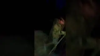 Город засыпает, мафия просыпается 😂