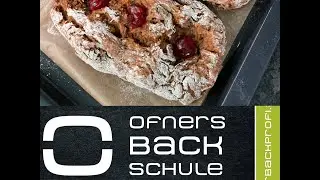 Backprofis Apfelbrot | Backe backe Ofner