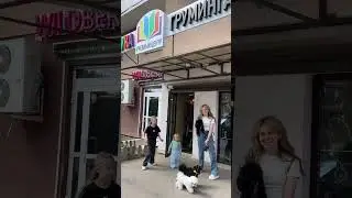 Регистрация на курс Владелец 