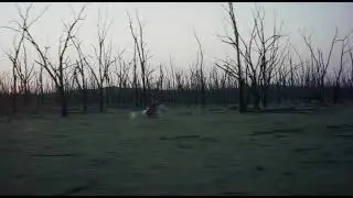 True History of the Kelly Gang - Opening Scene