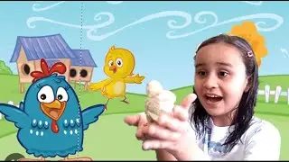 Pintinho amarelinho _#galinhapintadinha _#musicainfantil