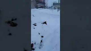 Mountains of snow
