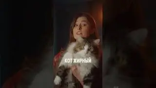 FAT CAT