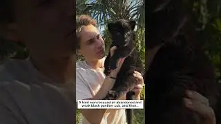 Rescuing a black panther cub 