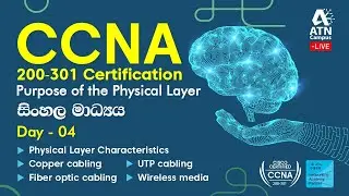 CCNA 200 - 301 Training in Sinhala Day 4 |  Purpose of the Physical Layer