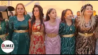 Govendu Dilan Şahiya Mehmet Emin & Eylem Malbata Mela Kasım Bajare Cizira Botan