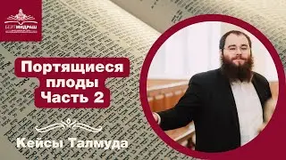 Портящиеся плоды. Часть 2 | Кейсы Талмуда