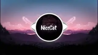 NiceCat - Star