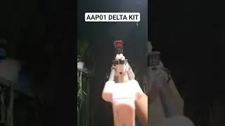 #aap01