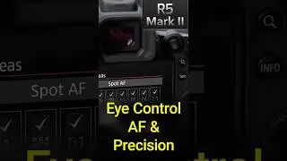Eye Control AF and Precision