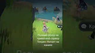 Один из багов приватного сервера Genshin Impact 