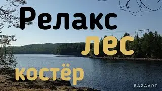 Релакс для сна, спокойный сон, лес, ночь, Sleep relaxation, restful sleep, forest, night, stream