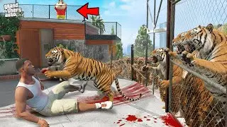 Franklin Saving His House From 1000 Tigers in GTA 5 !
