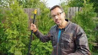 Что надо  успеть сделать на даче  до зимы?