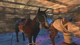 lets eat the horse