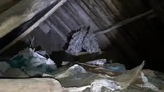 Чепыш на Чердаке в Сарае. Ночной Ужас. Chepysh in the attic of the barn. Night horror.