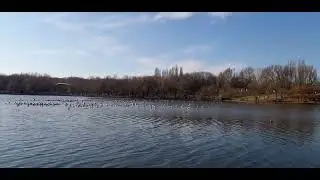 Parc IOR 3 febr 2024
