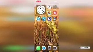 Очистка памяти IPhone через Synology Photos