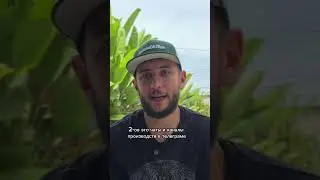 Где искать производителей для ВБ?