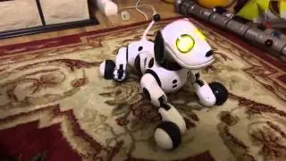 Интерактивная собака zoomer. Веселая собака робот Зумер!