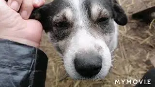 ИГОРЬ И ВАСИЛИСА УЕХАЛИ//ОСТАЛАСЬ ОДНА ДОМА//ЭКСПЕРИМЕНТ НА КУХНЕ//БЛИНЧИКИ//УПРАВА ПО ХОЗЯЙСТВУ//
